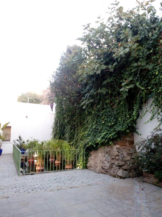 Gravina Comfort Tarifa Zewnętrze zdjęcie