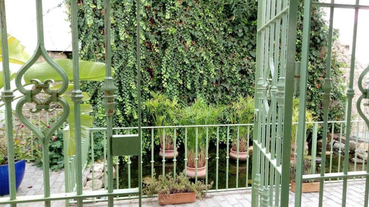 Gravina Comfort Tarifa Zewnętrze zdjęcie