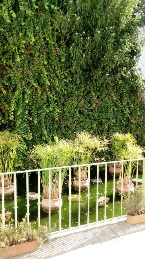 Gravina Comfort Tarifa Zewnętrze zdjęcie