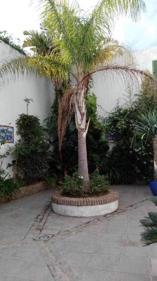 Gravina Comfort Tarifa Zewnętrze zdjęcie