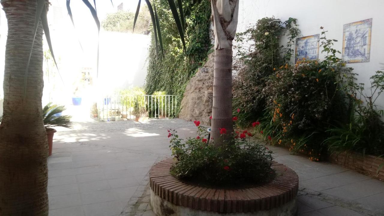 Gravina Comfort Tarifa Zewnętrze zdjęcie